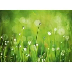 Eurographics Kitchen Glas SpritzschutzGreen Morning II 65cm X 90 Cm -Küchenarmaturen Geschäft 561830 1041 dgs dt40091 1