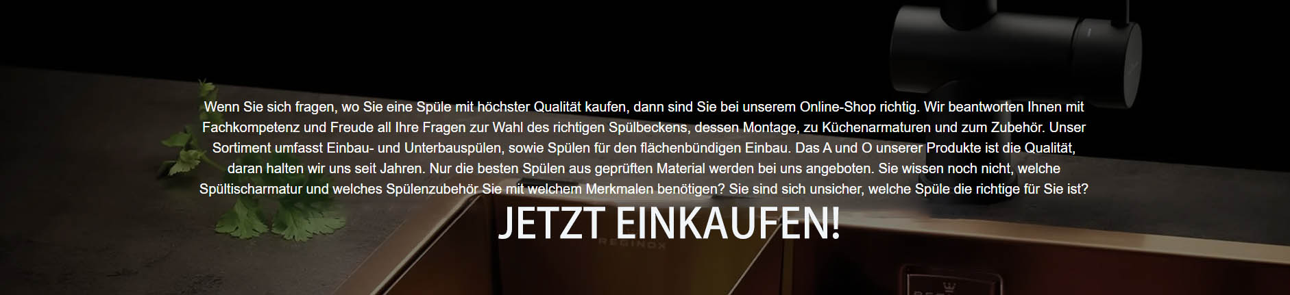 Küchenarmaturen Geschäft -Küchenarmaturen Geschäft fhfh